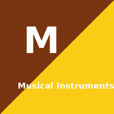 Musical Instruments Store